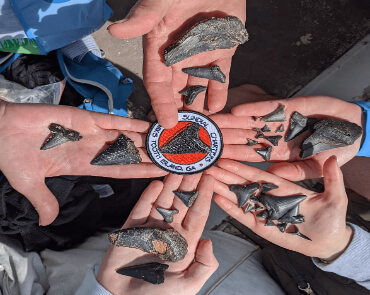 Sundial Charter Tours