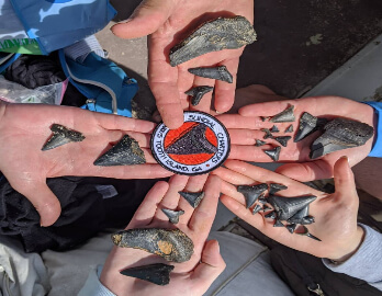 Sundial Charter Tours